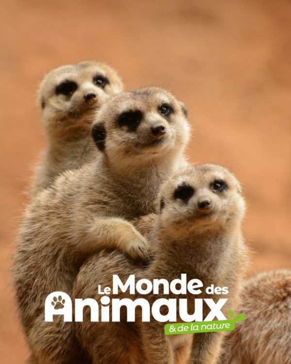 Le Monde Des Animaux - Europe & DOM - Réabonnement - 8n° - Fidélité