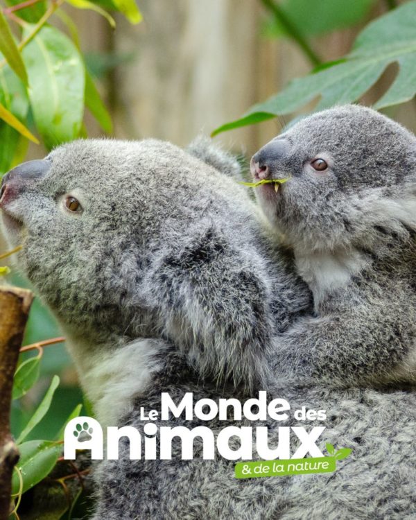 Le Monde des animaux - Réabonnement Liberté - Europe & DOM
