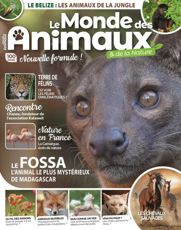 Le Monde des Animaux n°46 - Version numérique